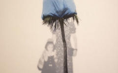 Alessandra-Brown,-De-Generazioni,-stampa-fotografica-su-mixed-media,-2018-2