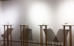 Installazione - It's not my place